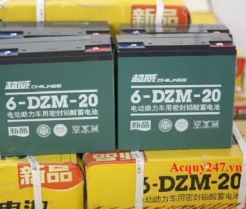 Bộ ắc quy xe điện Chilwee 48V-20Ah