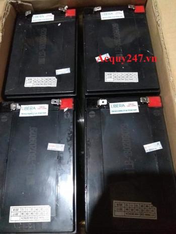 Bộ ắc quy xe điện Libera 48V-20Ah