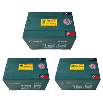 Bộ 3 bình ắc quy xe máy điện Xupai 36V