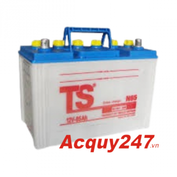 Ắc quy TS 50Ah N50