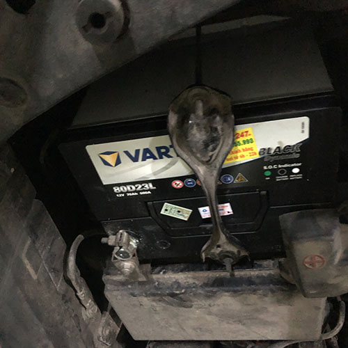 bình ắc quy Varta 70Ah 80D23L